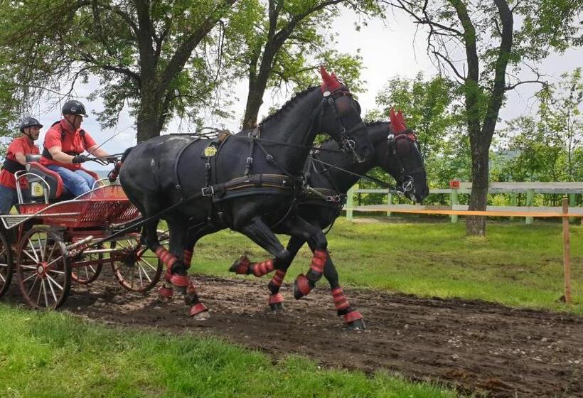 هتل Pensiune Agroturistica La Nasu
