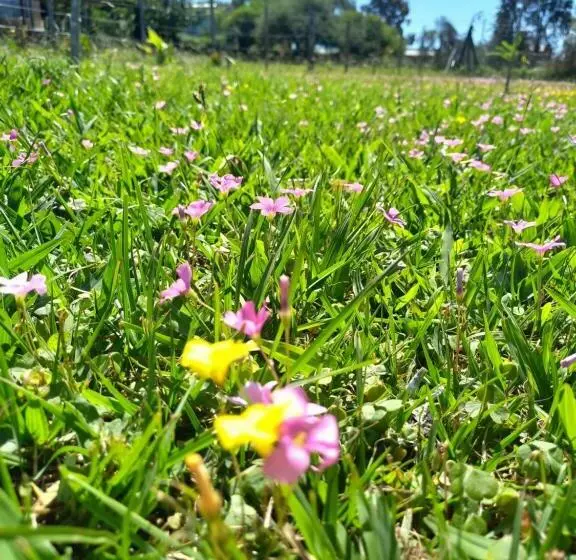 Complejo Aguas Termales