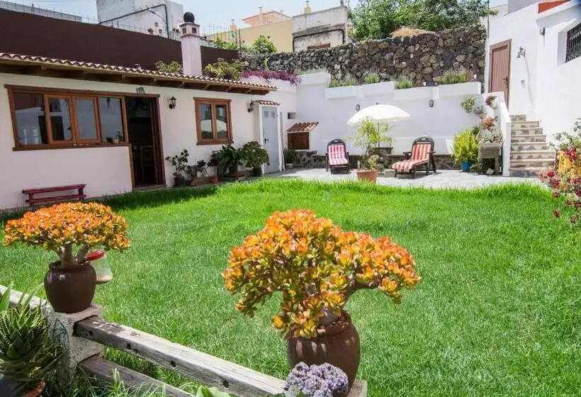 Cozy House Casa Vero Mai Icod De Los Vinos