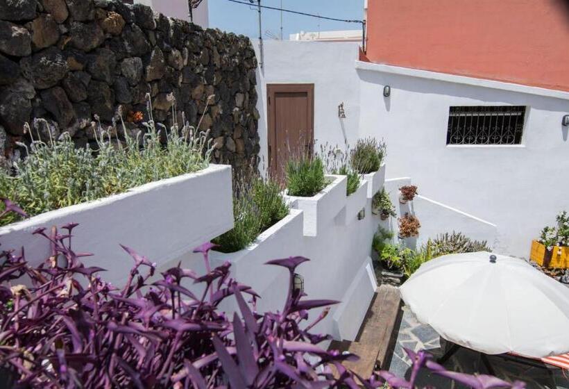 Cozy House Casa Vero Mai Icod De Los Vinos