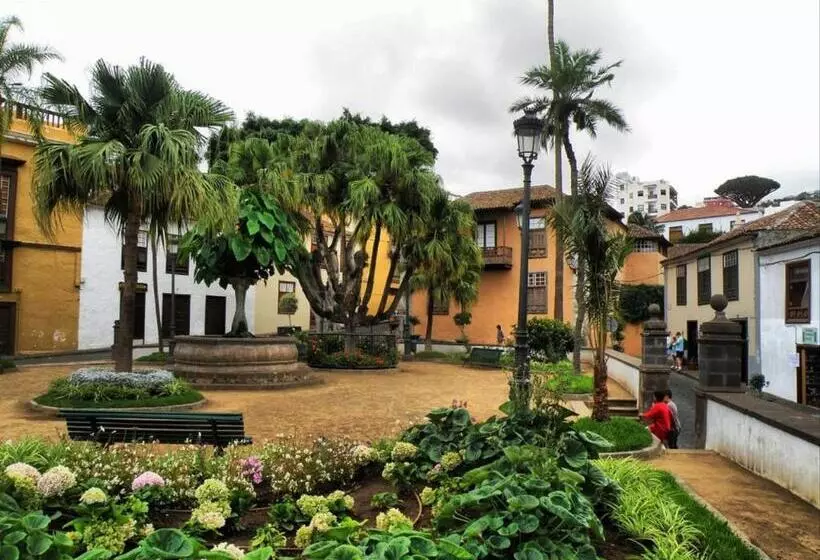 Cozy House Casa Vero Mai Icod De Los Vinos