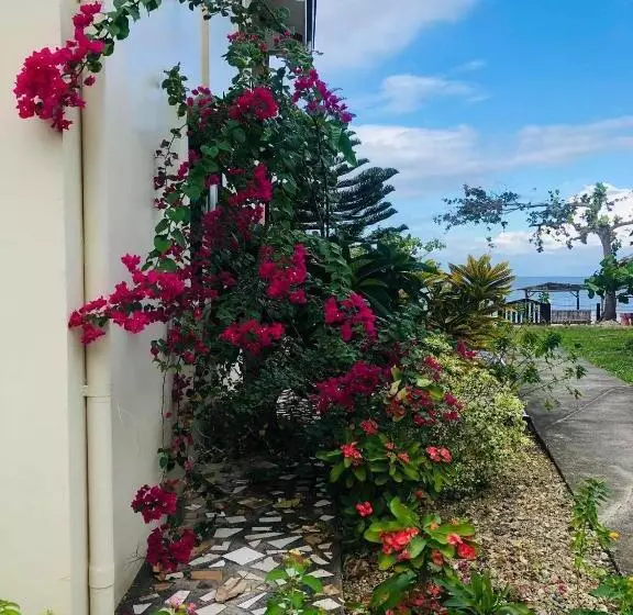 هتل D S Oceanview Beach Resort