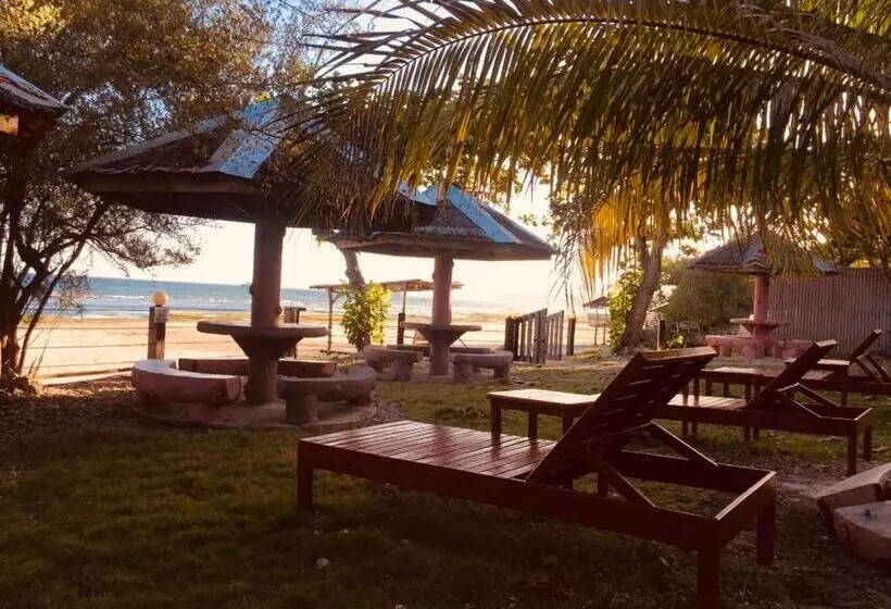 هتل D S Oceanview Beach Resort