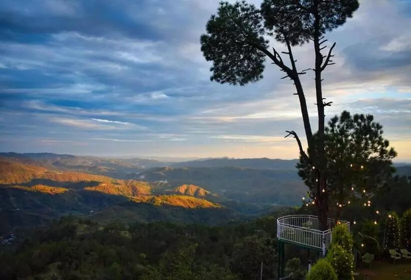 هتل Peaks And Pines Resort