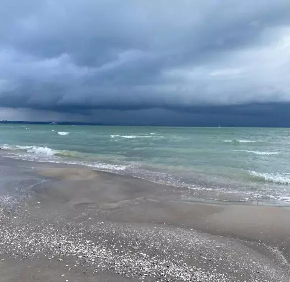 Bed and Breakfast Pension & Ferienwohnungen Schneidereit