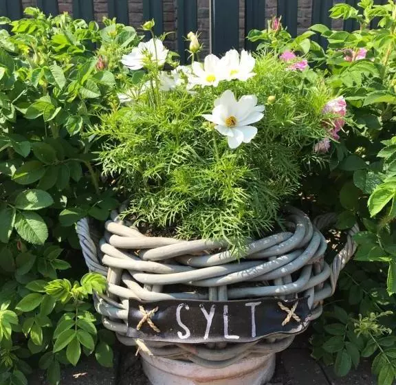 ホテル Parkresidenz Christian Viii