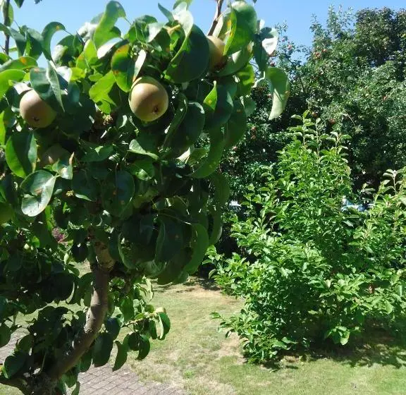 ホテル Wilhelmshof