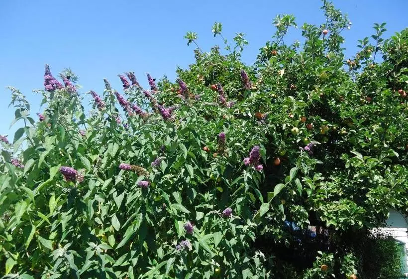 ホテル Wilhelmshof