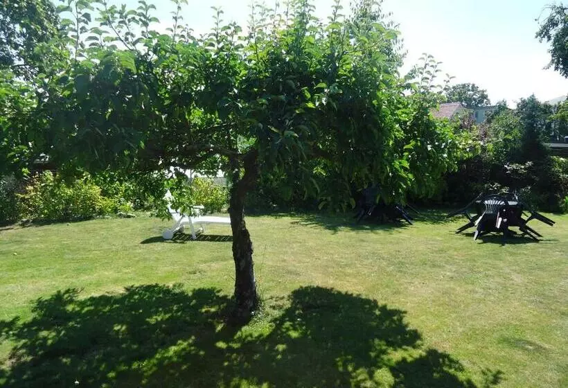 ホテル Wilhelmshof