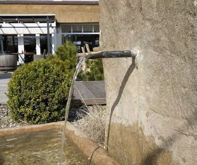 فندق Wittenbeck Resort