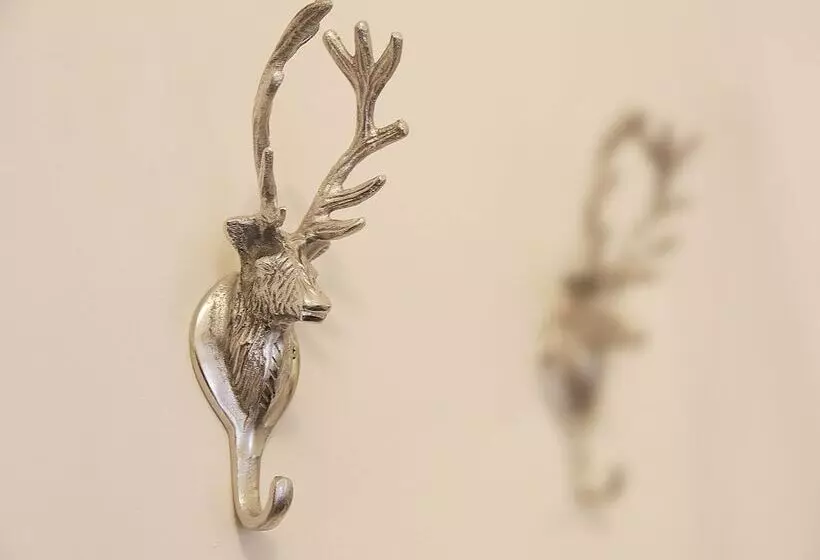 فندق Wittenbeck Resort