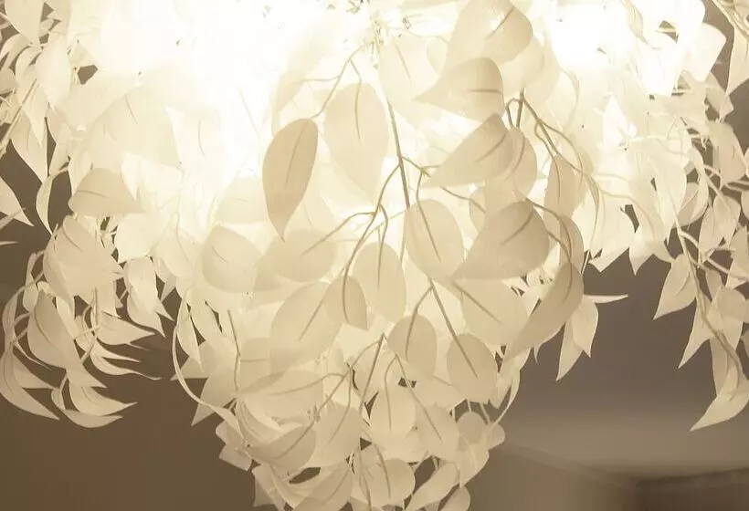 فندق Wittenbeck Resort