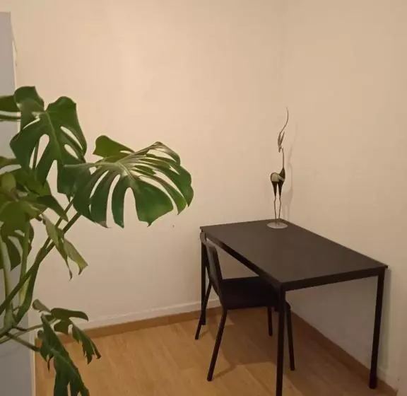 Piso Antiguo, Muebles Viejos, Muy Sencillo, Alquilado En Invierno A Estudiantes, Sin Ascensor, Cocin
