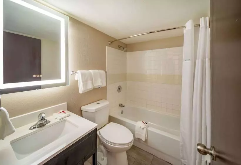 ユースホステル Baymont By Wyndham Laredo