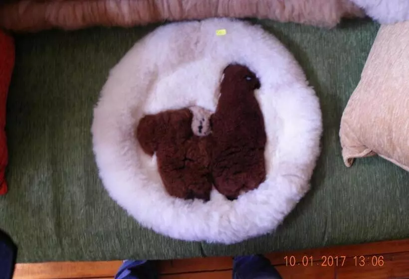 هتل Huaytusive Inn