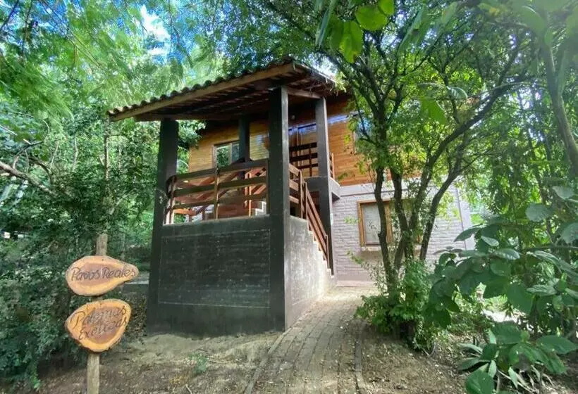 هاستل Saiananda Adventure Eco Lodge