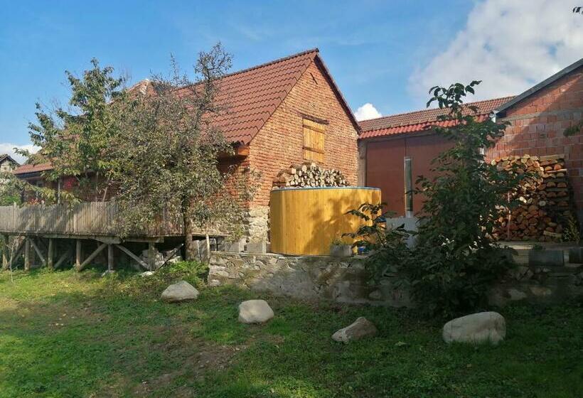 Pensão Borlova /muntele Mic