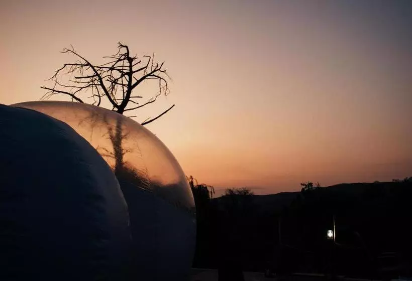 ペンション The Bubble Valley Clarens