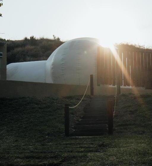 פנסיון The Bubble Valley Clarens