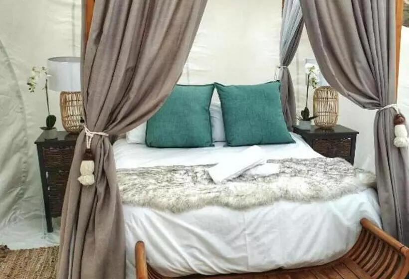 ペンション The Bubble Valley Clarens