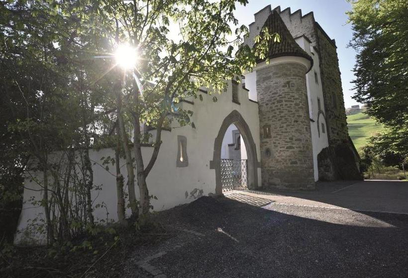 Отель Schloss Wartensee