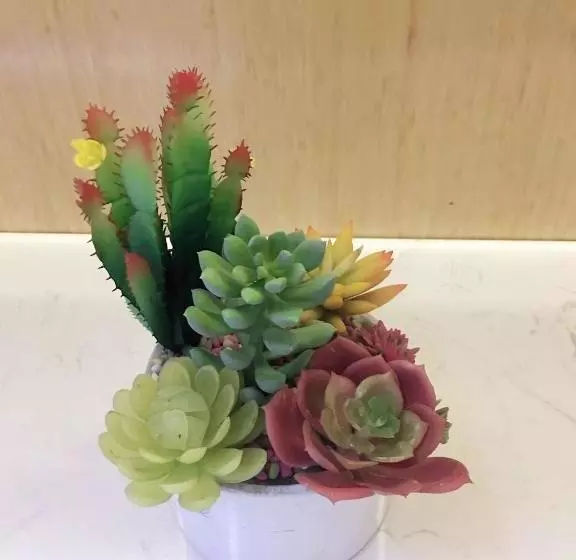 Motel Shanghai Hongjing Road