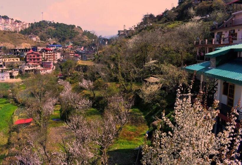 צימר Orchid Homestay