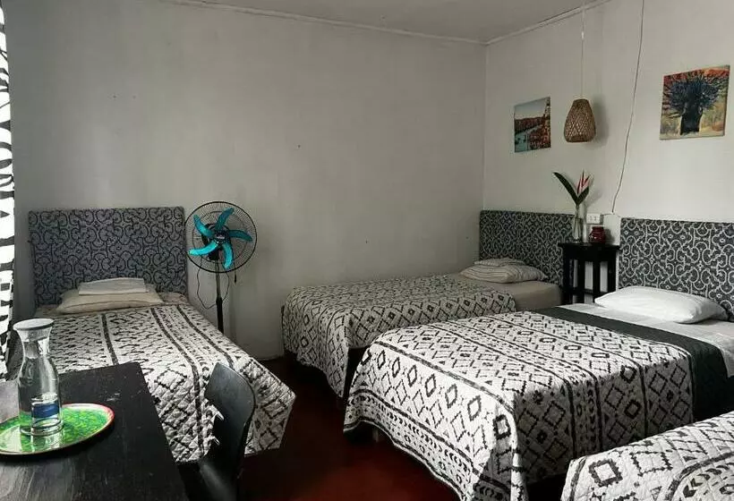 Aamiaismajoitus (B&B) Otorongo Guest House