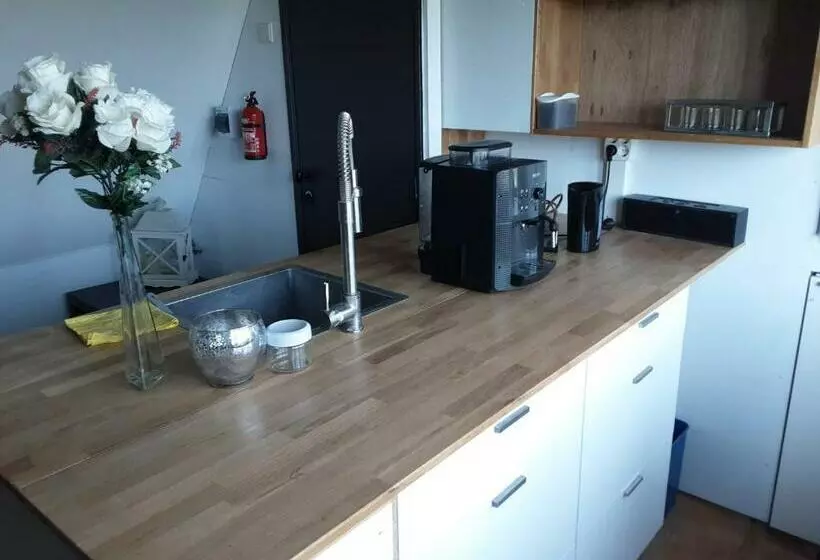 ベッドアンドブレックファースト Wittezwaan