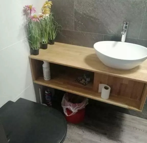 ベッドアンドブレックファースト Wittezwaan