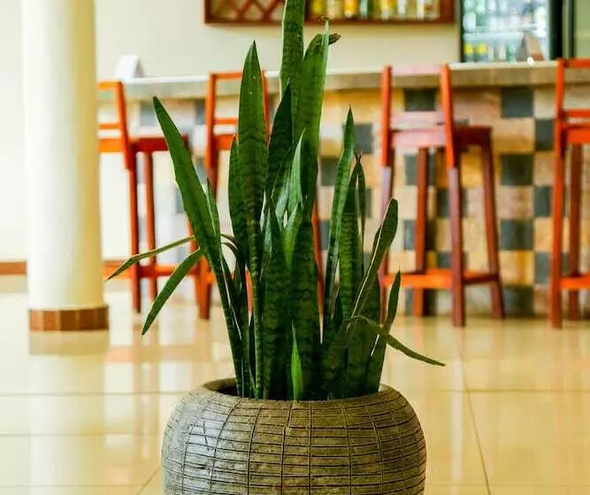 Lakefront Hotel Entebbe