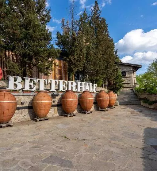 ペンション Villa Yana Hotel Winery&spa