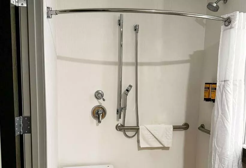 ホテル Best Western Plus Grand Rapids Mn