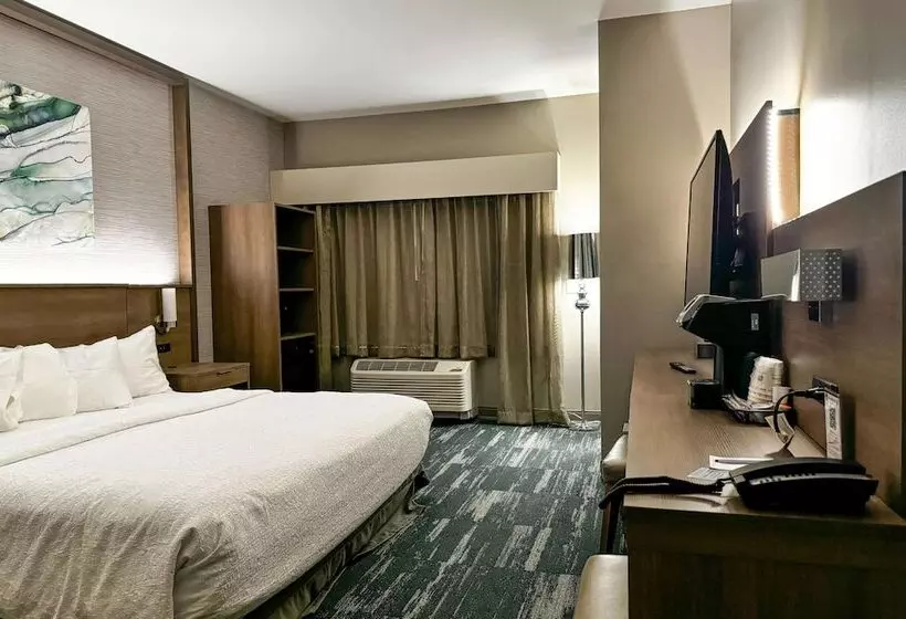 ホテル Best Western Plus Grand Rapids Mn