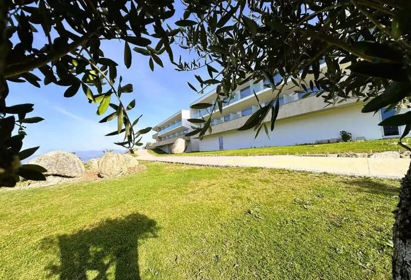 هتل Cotto Do Gatto