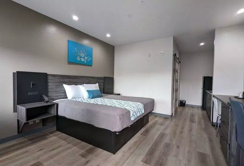 Hotelli Crystal Inn Jacinto City