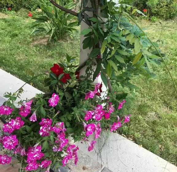 ペンション La Fragola In Campagna 6 K M Da San Pantaleo