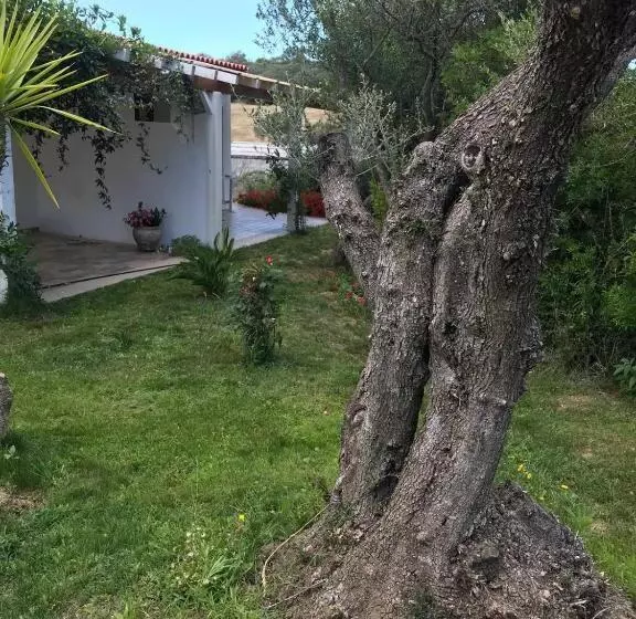 ペンション La Fragola In Campagna 6 K M Da San Pantaleo