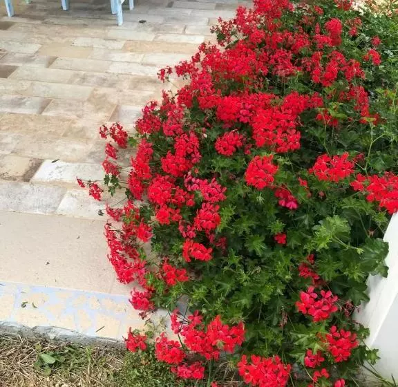 ペンション La Fragola In Campagna 6 K M Da San Pantaleo