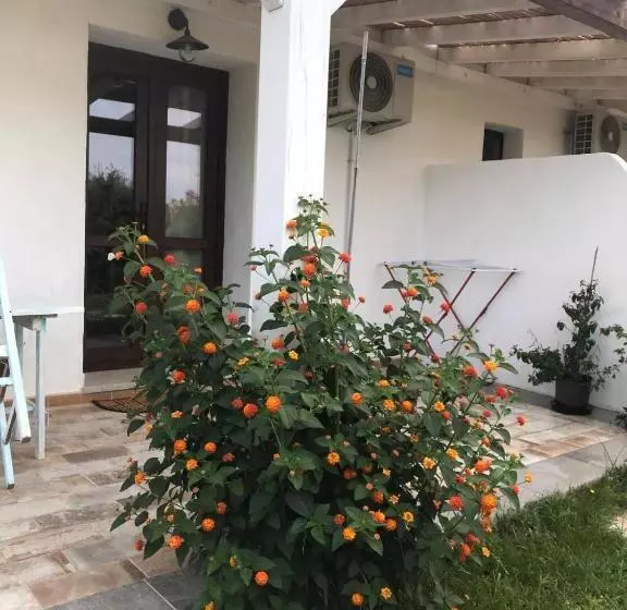 ペンション La Fragola In Campagna 6 K M Da San Pantaleo