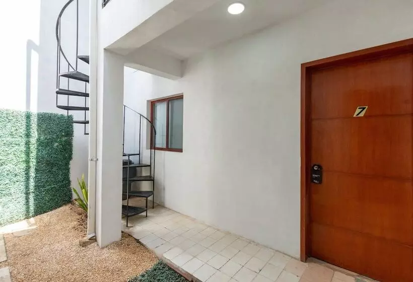 هاستل Mérida 62