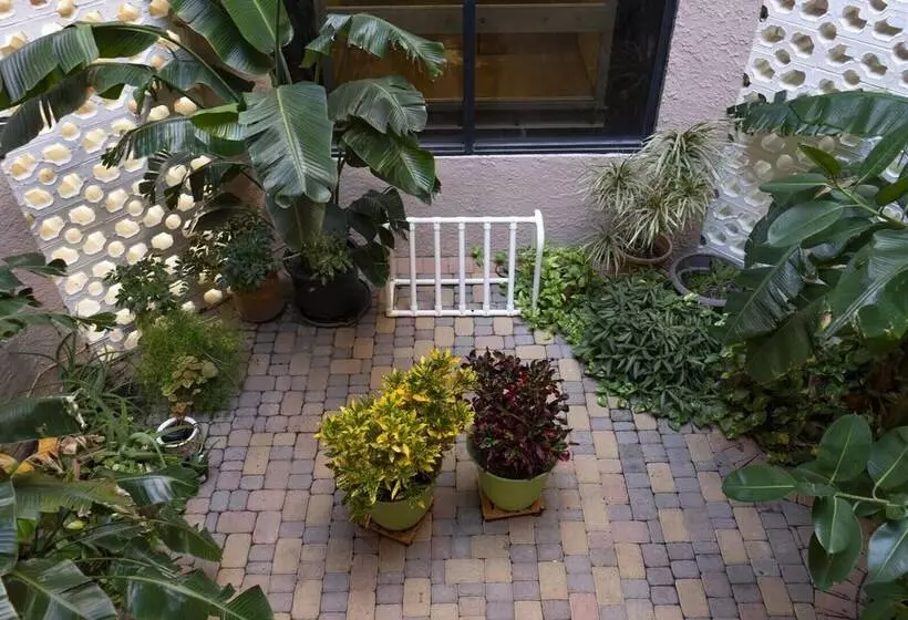 Atrium #102