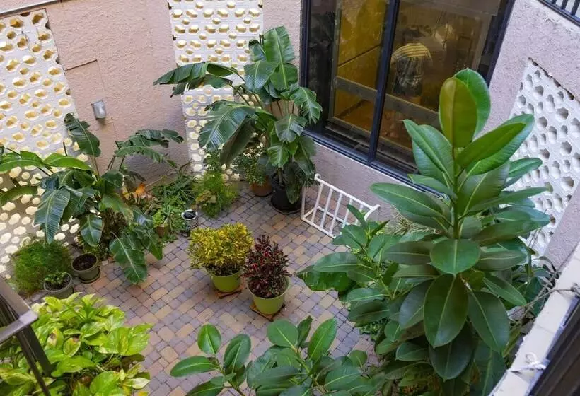 Atrium #102