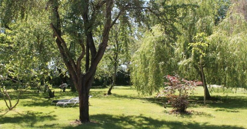 Bed and Breakfast Champ Du Bois