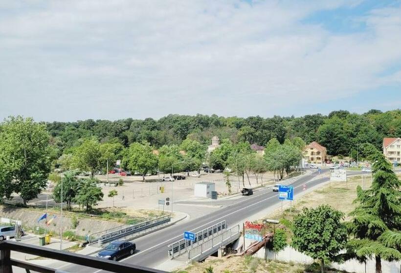 ペンション Apartamente 9 / Natalia Room