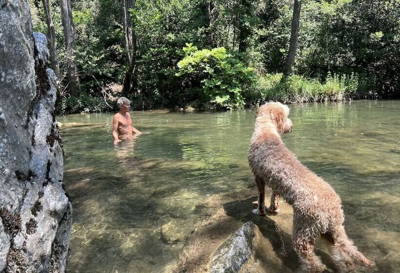 リゾートホテル La Connexion, Gay Men Only