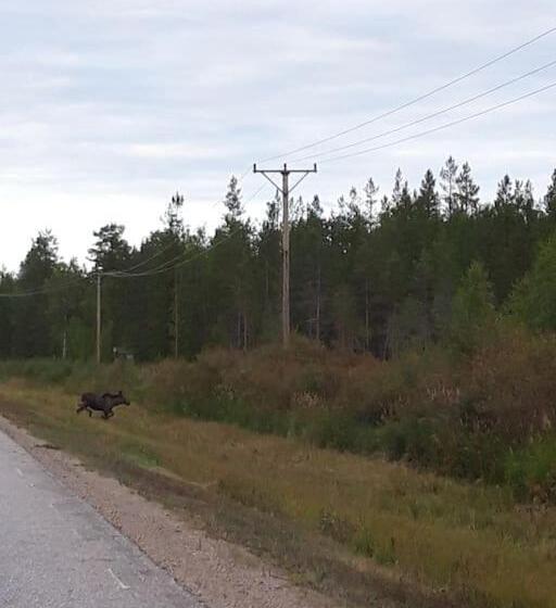 צימר The Old Post Office