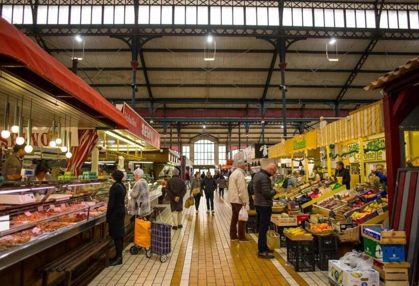 Gîte Le Palmier   Perfectly Located Cosy Studio With Private Garden