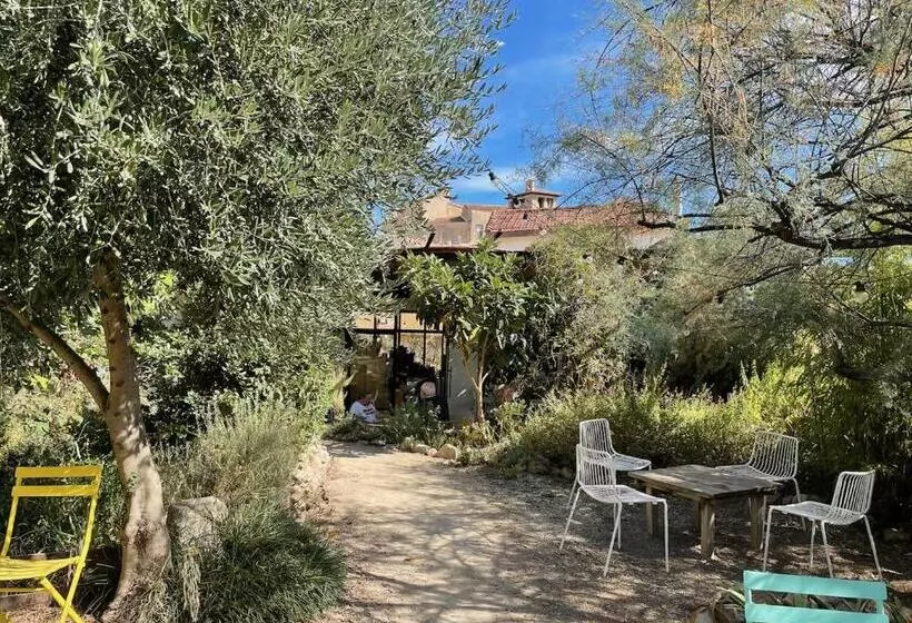 Gîte Le Palmier   Perfectly Located Cosy Studio With Private Garden