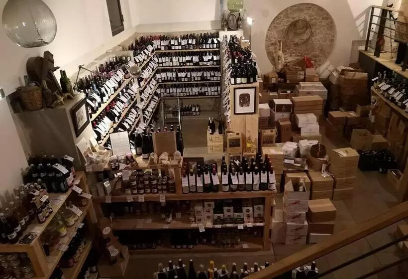 Gîte Le Palmier   Perfectly Located Cosy Studio With Private Garden